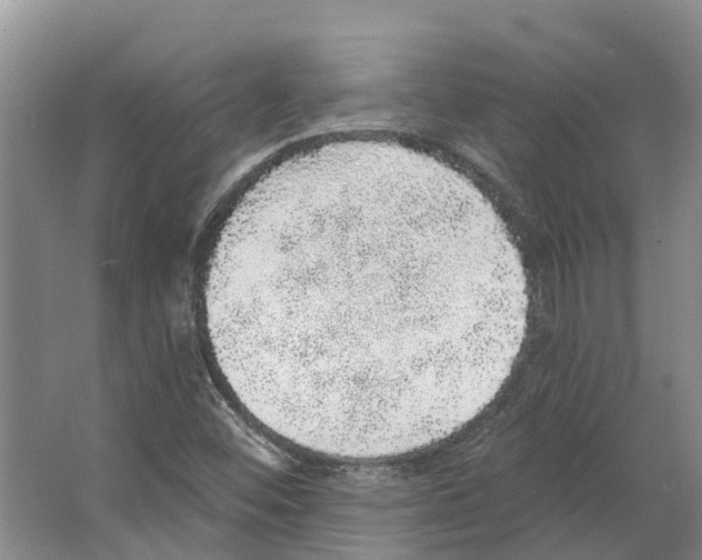 X0000066531452200604141827