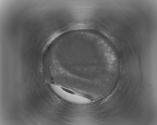 X0000066531453200604141827