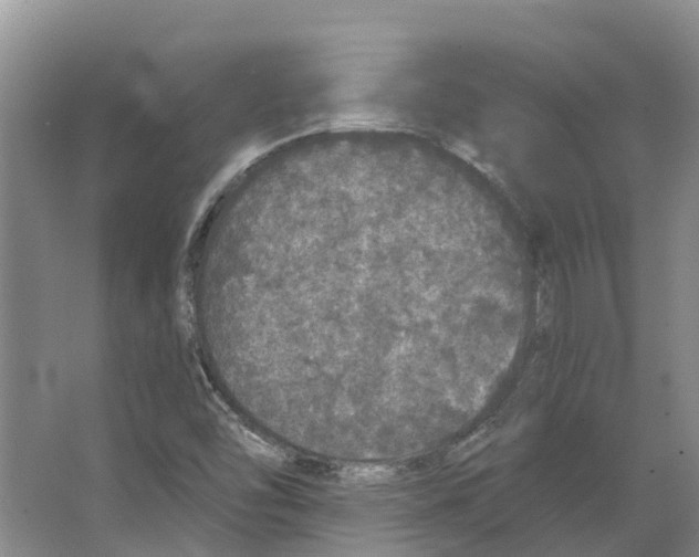 X0000066531454200604141827