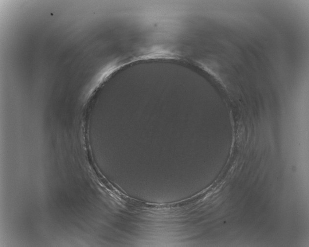 X0000066531455200604141827