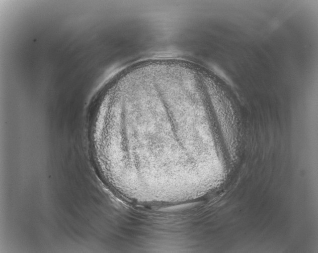 X0000066531456200604141827