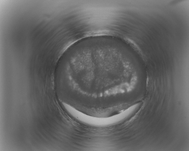 X0000066531457200604141827