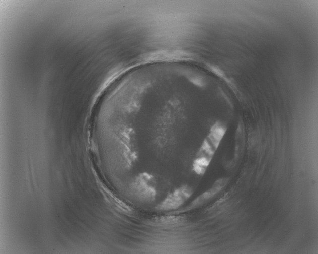 X0000066531459200604141827