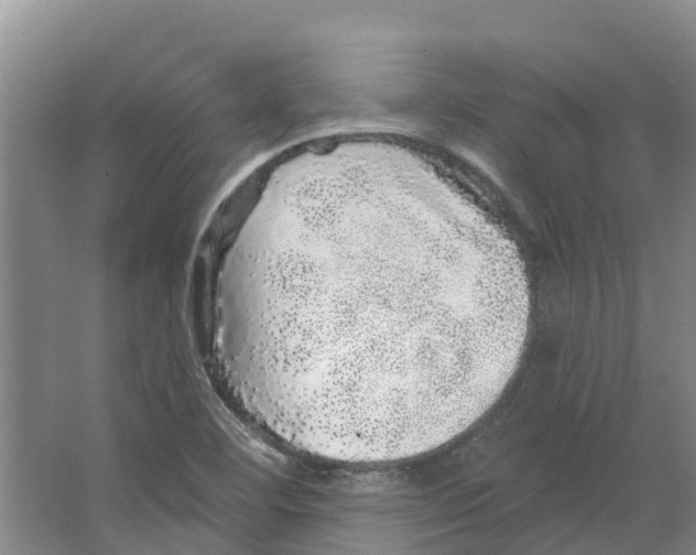 X0000066531460200604141827