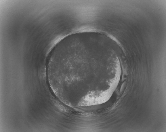 X0000066531461200604141827