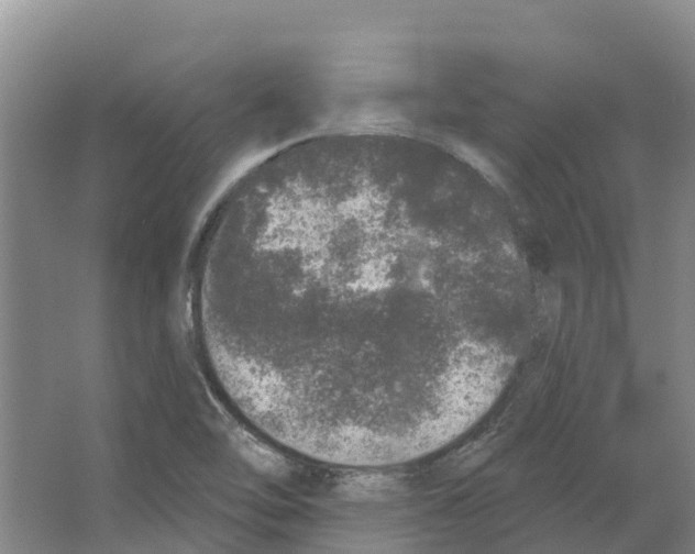 X0000066531462200604141827