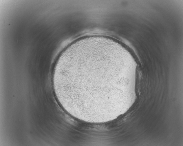 X0000066531464200604141827