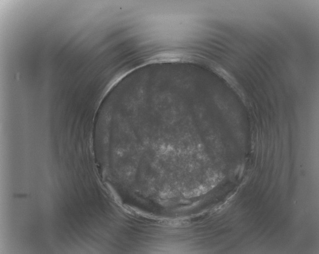 X0000066531465200604141827