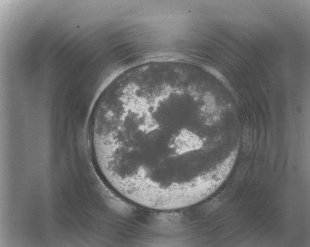 X0000066531466200604141827