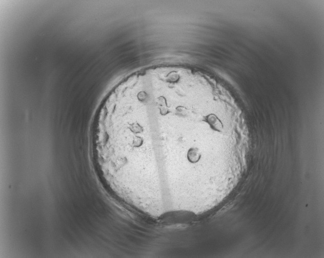 X0000066531467200604141827