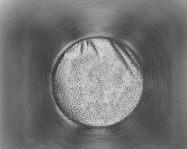 X0000066531468200604141827