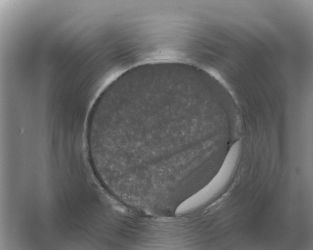 X0000066531469200604141827