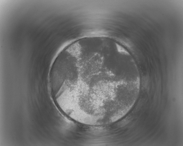 X0000066531470200604141827