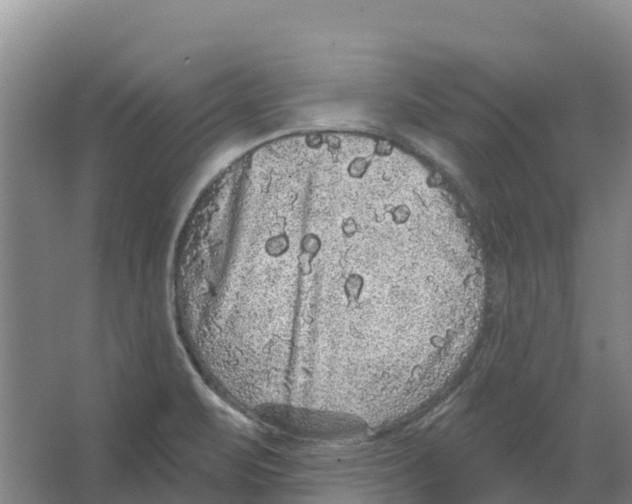 X0000066531471200604141827