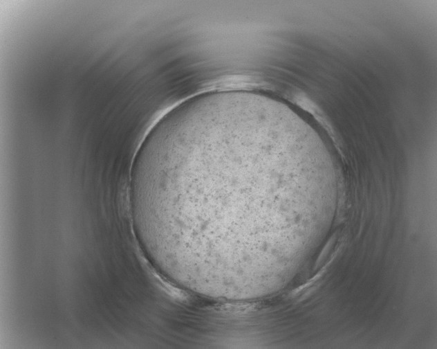 X0000066531473200604141827