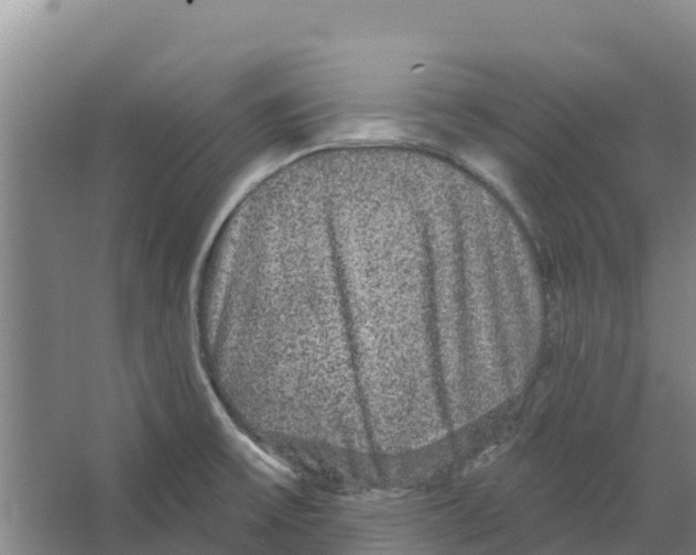 X0000066531475200604141827