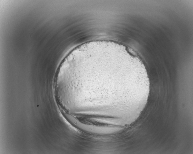 X0000066531476200604141827