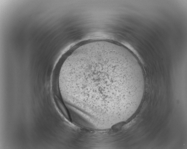 X0000066531477200604141827