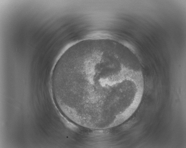 X0000066531478200604141827