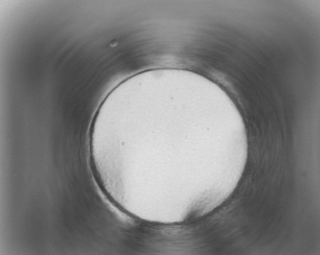 X0000066531479200604141827