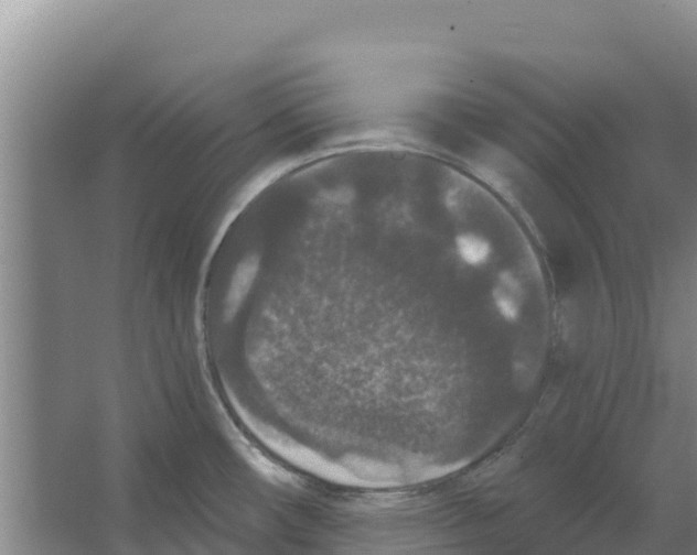 X0000066531482200604141827