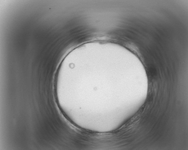 X0000066531483200604141827