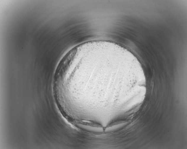 X0000066531484200604141827