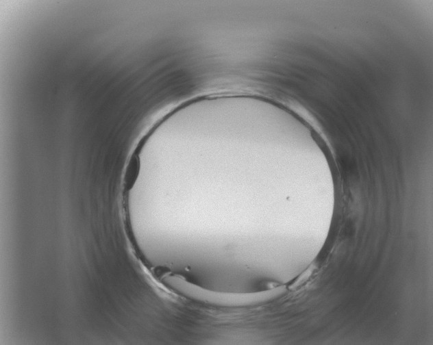 X0000066531485200604141827