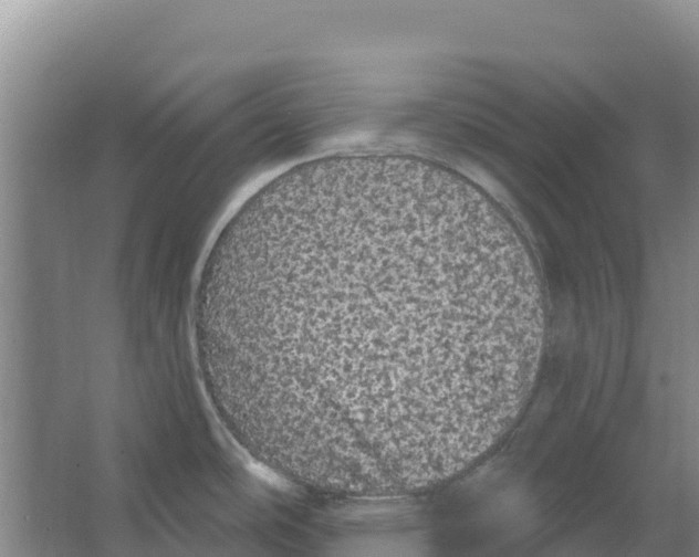 X0000066531486200604141827