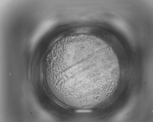 X0000066531487200604141827