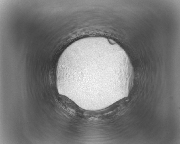 X0000066531490200604141826