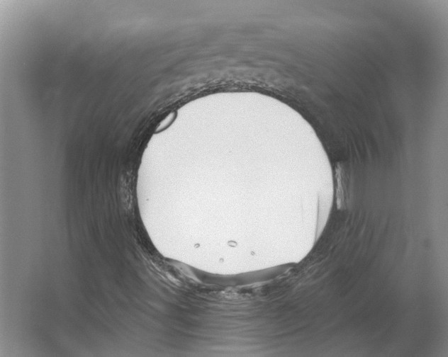 X0000066531491200604141826