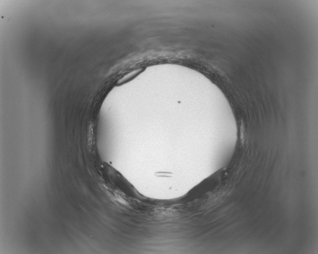 X0000066531492200604141826