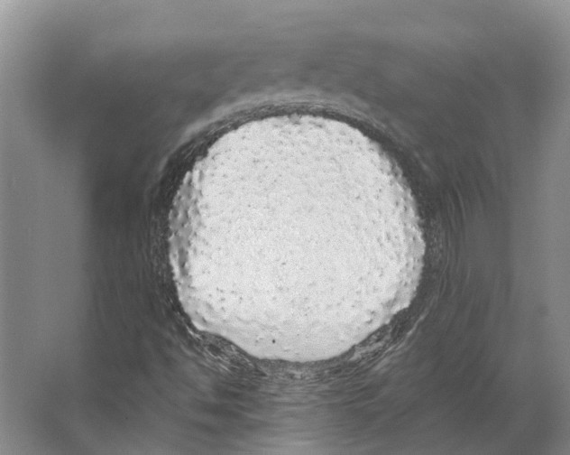 X0000066531494200604141826