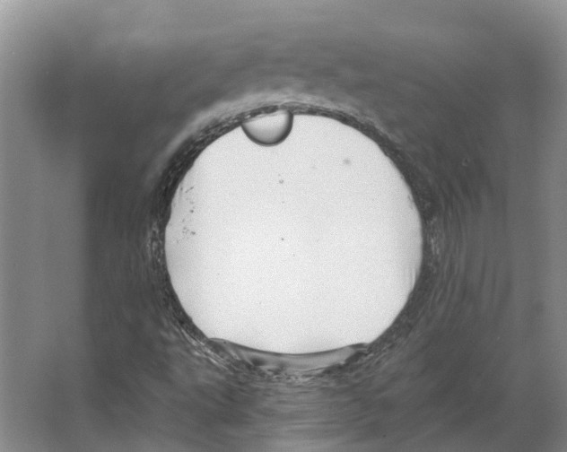 X0000066531495200604141826