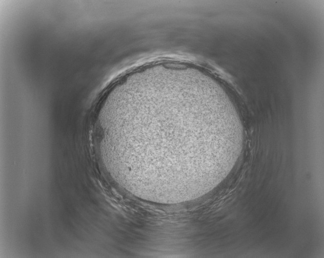 X0000066531496200604141826