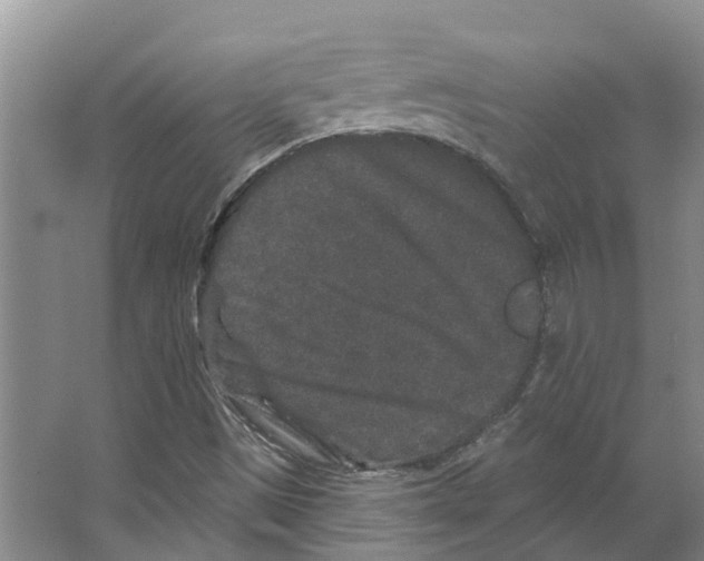 X0000066531497200604141826