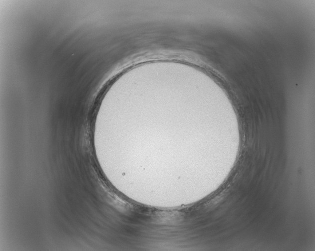 X0000066531498200604141826