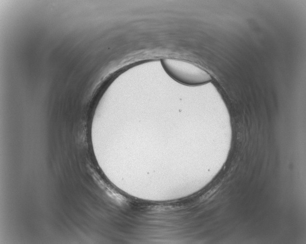 X0000066531499200604141826