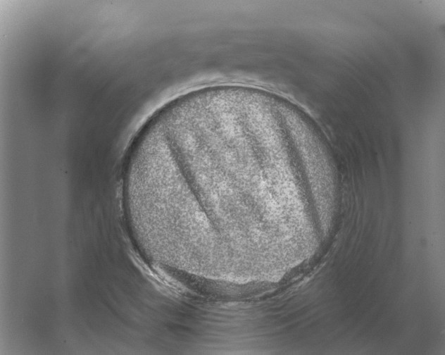 X0000066531503200604141826