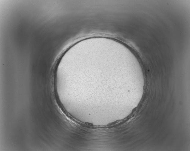 X0000066531504200604141826