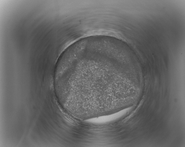 X0000066531505200604141826