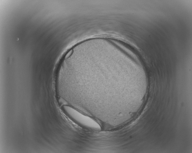 X0000066531506200604141826