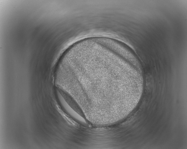 X0000066531507200604141826