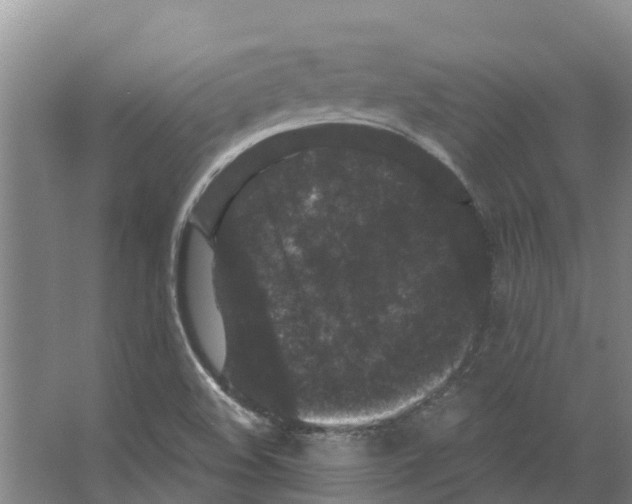 X0000066531508200604141826