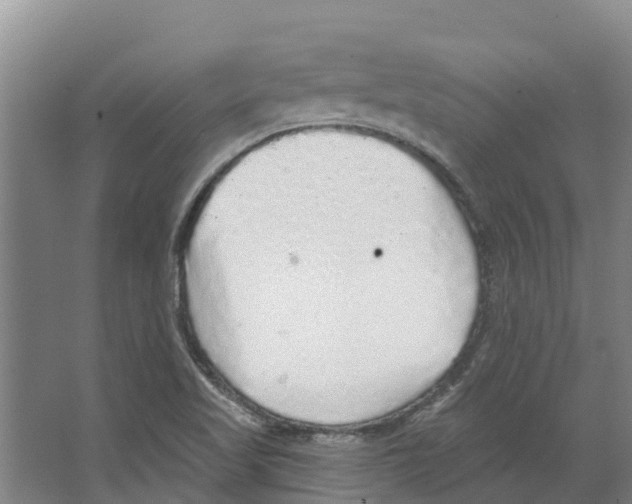 X0000066531509200604141826