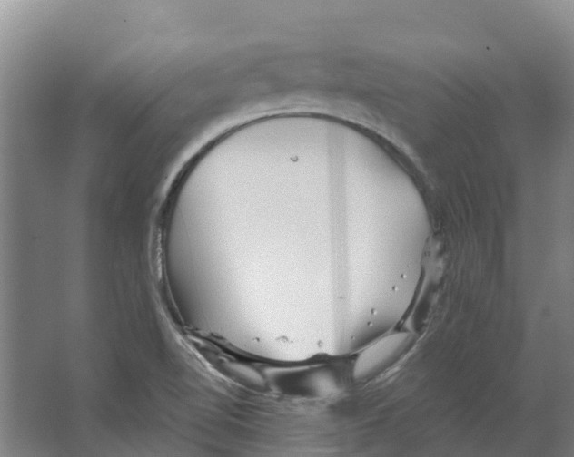 X0000066531510200604141826