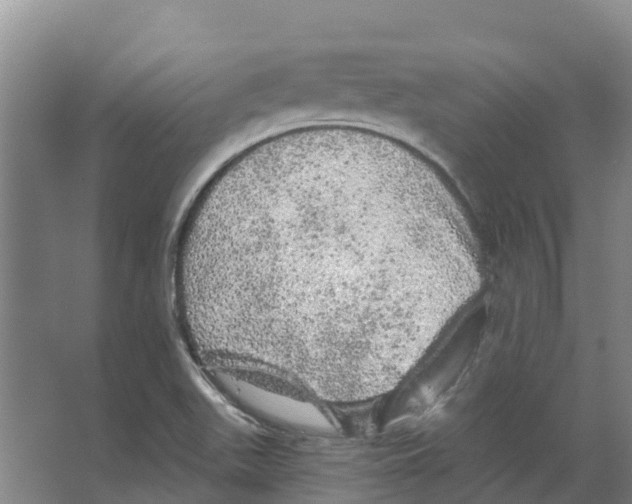 X0000066531511200604141826