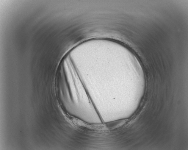 X0000066531513200604141826