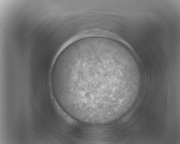 X0000066531514200604141826